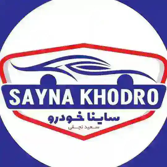 سعید نجفی