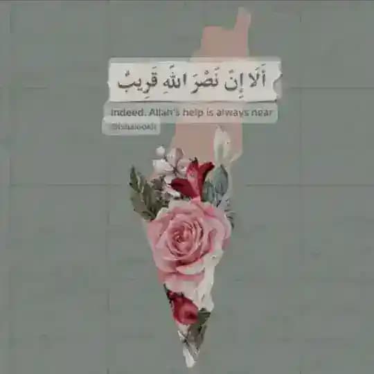 🎀على خطى الصحابيات🎀