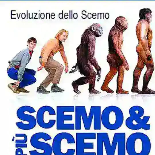 Scemo e più scemo FILM
