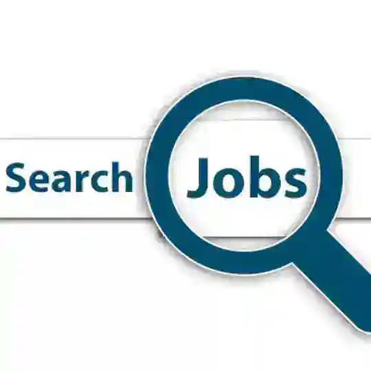 SG Jobs Opening Profile
