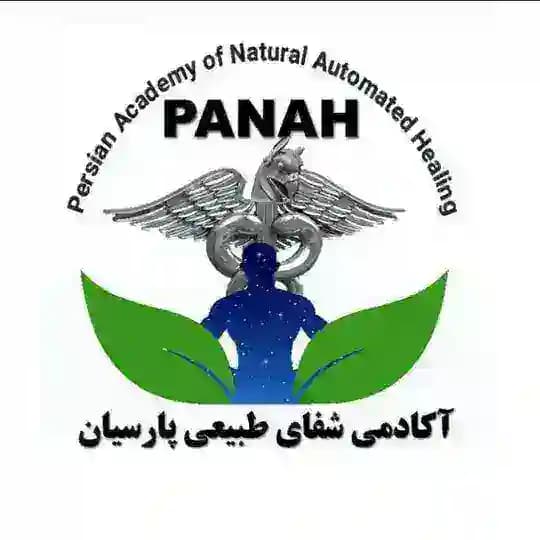 PANAH ACADEMYآکادمی پناه