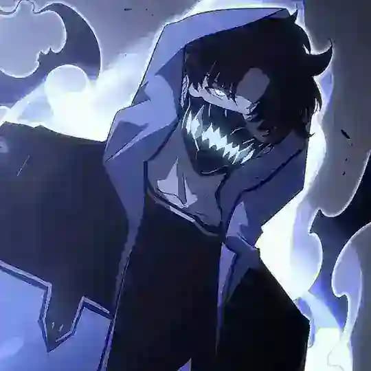 SOLO LEVELING S3 VF Profile