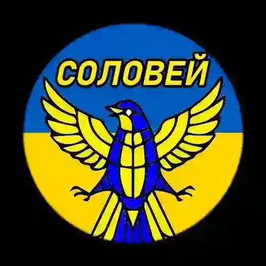 Соловей | Украина Новости