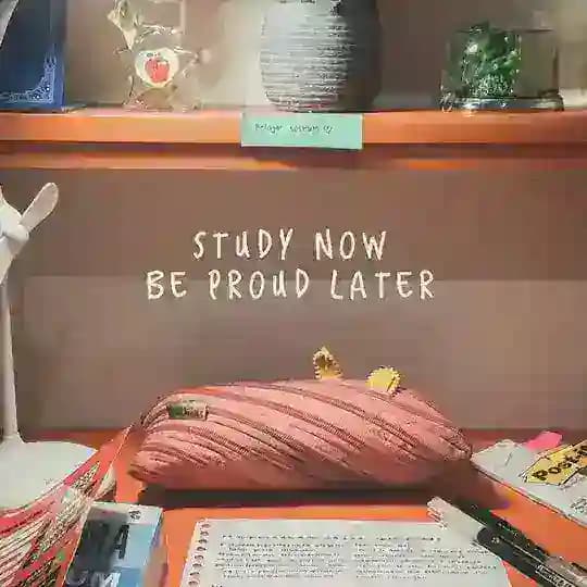 Pengajian Perniagaan STPM🏆