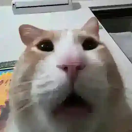 𝙨𝙬𝙬𝙫𝙯°𖦹