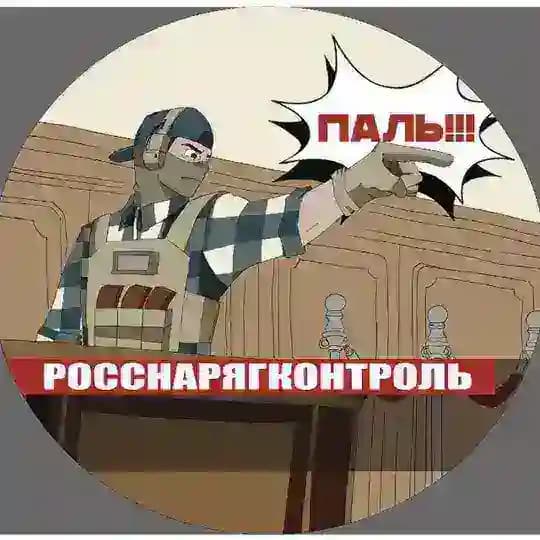 РосСнарягКонтроль (тот самый DOOMER_SQUAD)