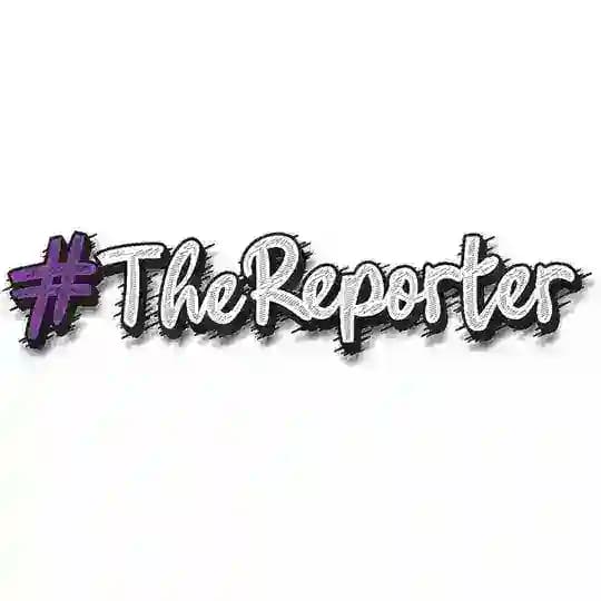 The Reporter Profile