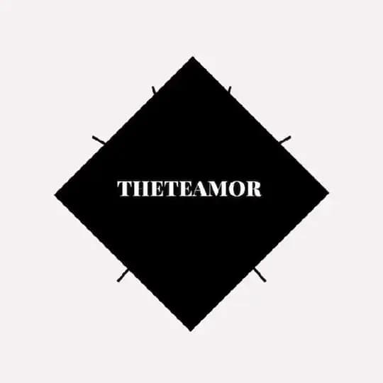 ТHETEAMOR Profile