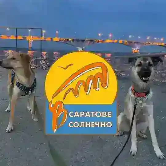 В Саратове Солнечно