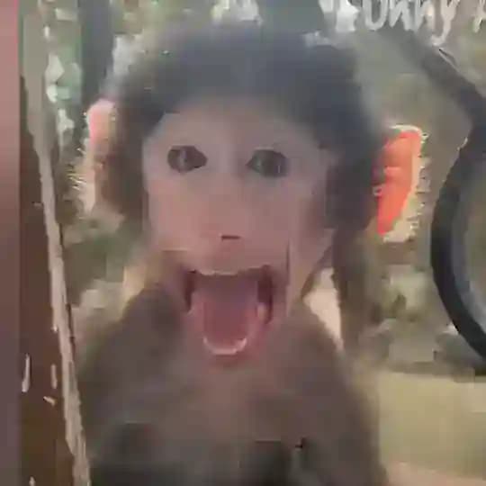 ЛУЧШИЕ ВИДЕО