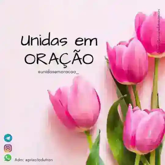 UNIDAS EM ORAÇÃO🌷 Profile