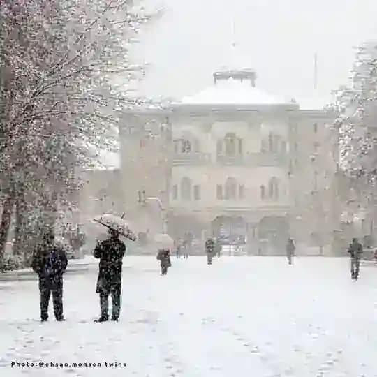 دانشگاه هنر