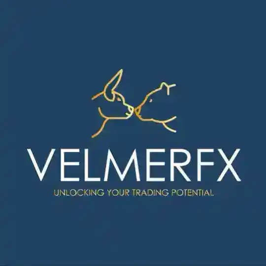 VELMER FOREX ACADEMY