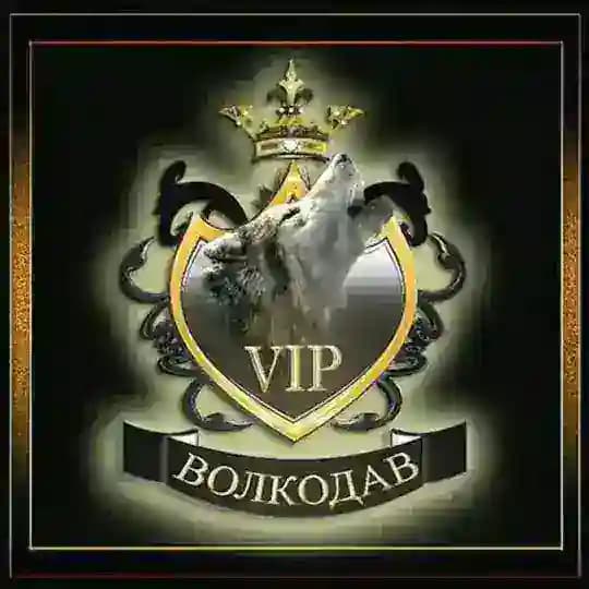 VIP VOLKODAV