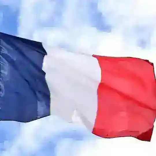 ВИЗЫ ВНЖ ФРАНЦИЯ МОНАКО RAEVSKAIA FRANCE 🇫🇷 Profile