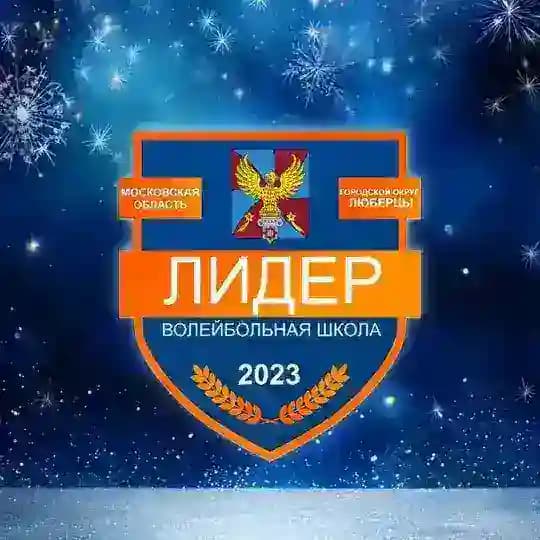 Волейбольная Школа «Лидер»