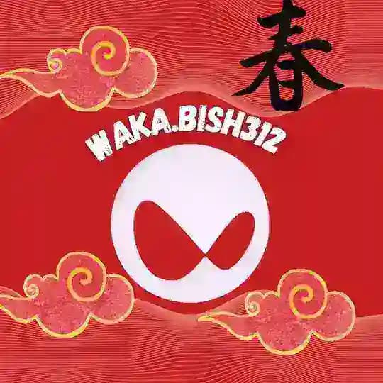 WAKA.BISH312 Profile