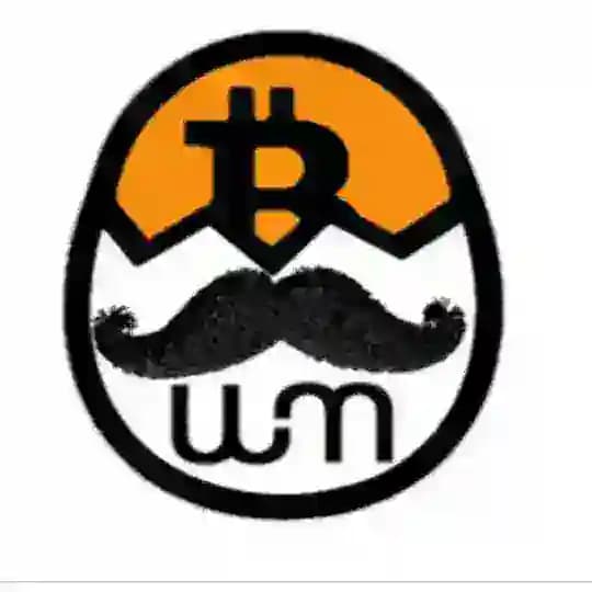 Web Mastermind Crypto Announcement