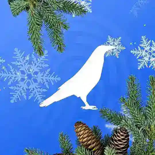 Белый Ворон | Крипто | White Raven