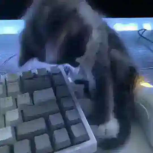 πΎππΉππΊπ¨