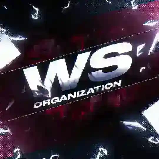 WS ORGANIZATION