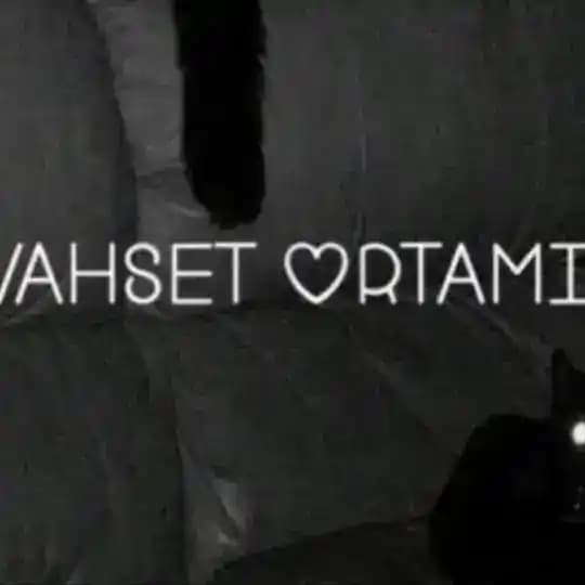 VAHŞET ORTAMI🔞