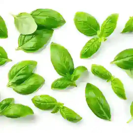 خاطرات سبز❤️🔥🆔 Profile