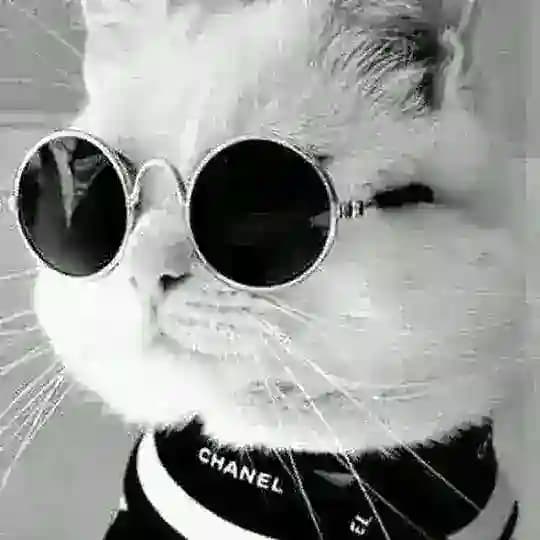 Жизнь Жюли