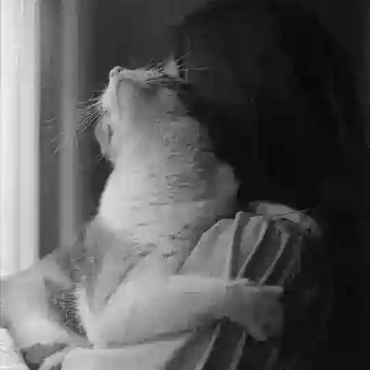 ذهن شلوغ.