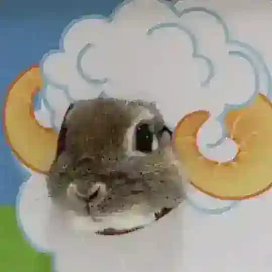 bOmbW Profile