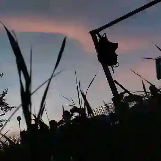 Хаос благоволит