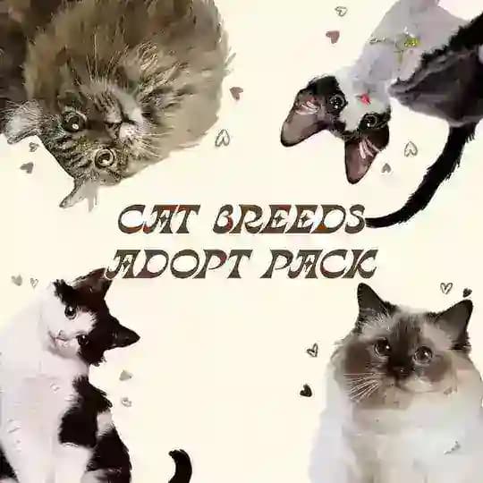 🐾CAT BREEDS. ADOPT PACK🐾
