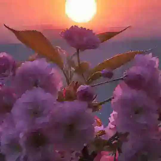 لعلّها تشفع لأبي 💙🥀