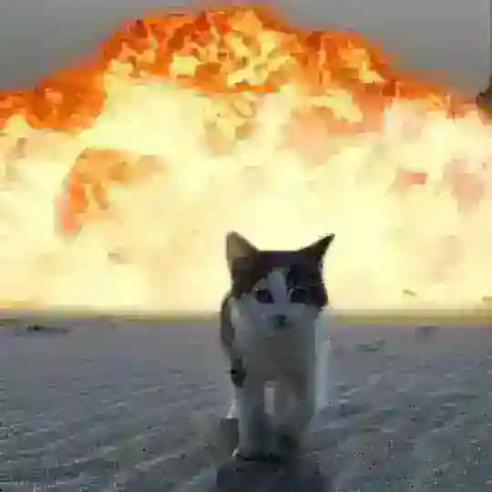 |Огонёк 💃