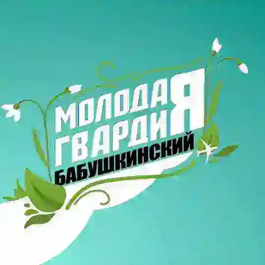 Молодая Гвардия.Бабушкинский район
