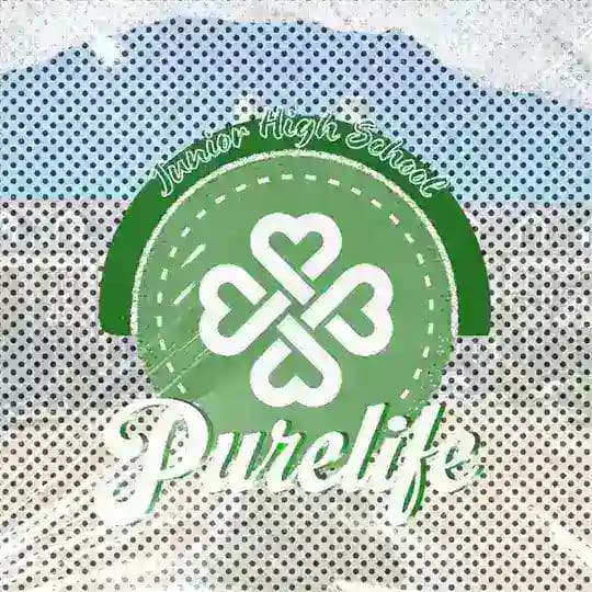 /ROMBAK/ Purelife Junior High School