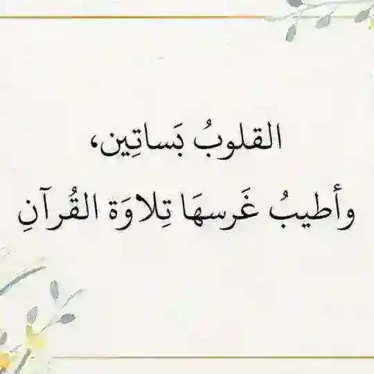وردك طريقك للفلاح Profile