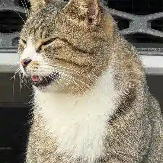 RT完美驱动发布频道