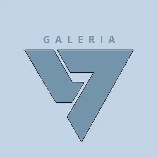 Seventeen Brasil GALERIA Profile
