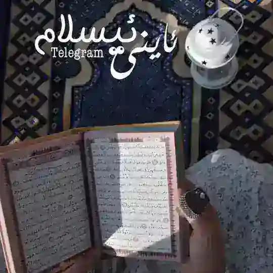 ئــاینـی ئیــسلـامــ'ﹳ🕊️🖤' Profile