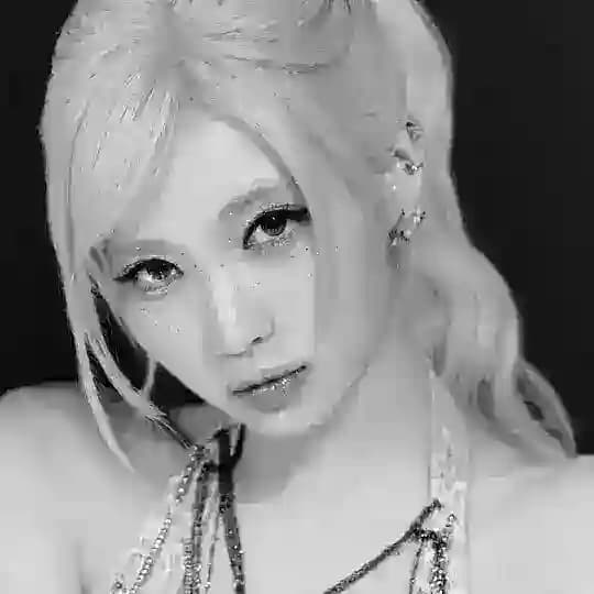 アサ Asa