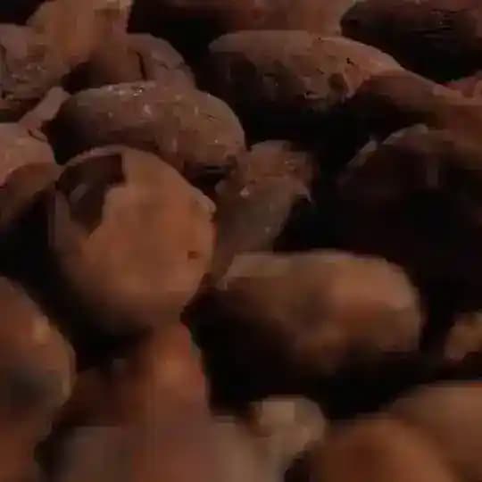 CHOICE Шоколадный дневник