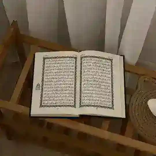 لغة الضاد Profile
