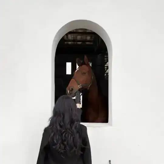 ماهِ مَن🤍 Profile