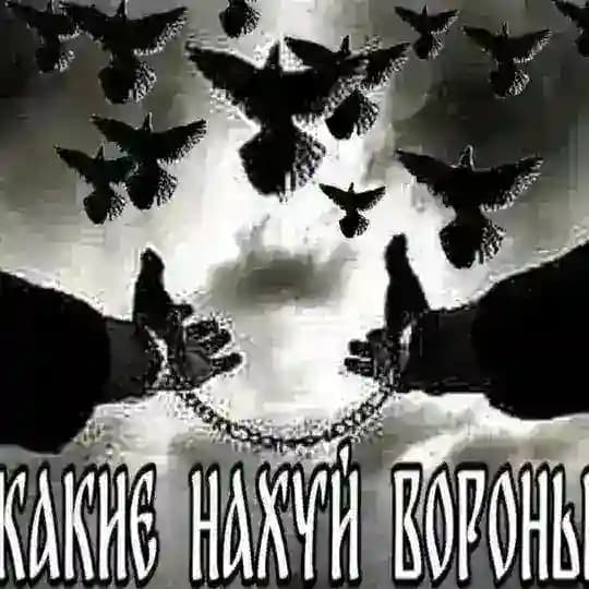 exzorcist