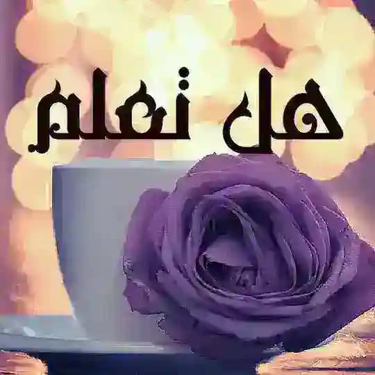 💡📌 هـل تـعـلـم 💊🖋️ Profile