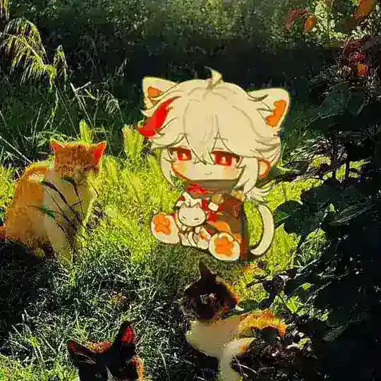 ꨄ𝖬𝗈𝗇𝗈 𝗇𝗈𝗄𝗈♡︎