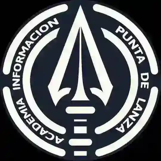 ACADEMIA INFORMACIÓN PUNTA DE LANZA Profile