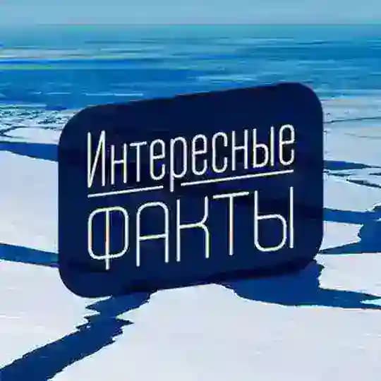 ИНТЕРЕСНЫЕ ФАКТЫ Profile
