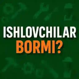 ISHLOVCHILAR BORMI? Profile